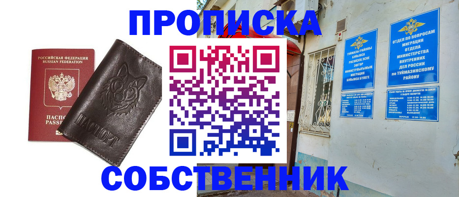 прописка гарантия в Кингисеппе